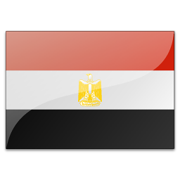 埃及采购商(101608)
