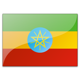 埃塞俄比亚采购商(29272)