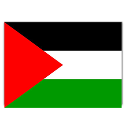 巴勒斯坦采购商(7)
