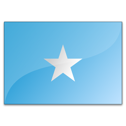 索马里采购商(490)
