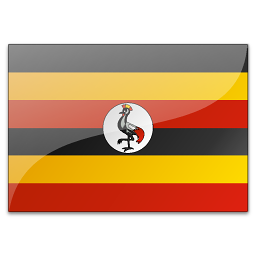 乌干达采购商(76435)